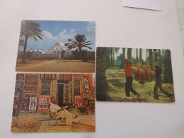 TUNISIE - Lot De 3 Cartes - Tunesien