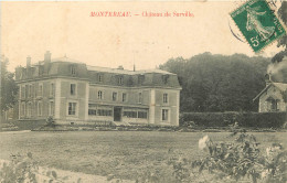  77 - MONTEREAU - CHATEAU DE SURVILLE - Montereau