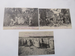 ALGERIE - Lot De 3 Cartes - Scene & Tipi