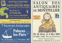 X11169 SAINT GELY DU FESC PALAVAS LES FLOTS MONTPELLIER CALENDRIER DE POCHE SALON DES ANTIQUAIRES 2003 - Petit Format : 2001-...