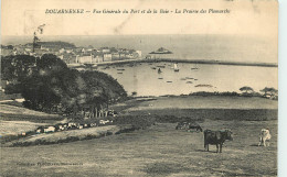  29 - DOUARNENEZ - VUE GENERALE DU PORT ET DE LA BAIE - LA PRAIRIE DES PLOMARCHS - Douarnenez