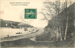  22 - SAINT BRIEUC CESSON - LE CHEMIN DE HALAGE - Saint-Brieuc