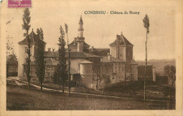 69 -  CONDRIEU - CHATEAU DU ROZAY - Condrieu