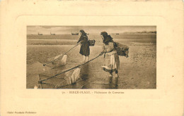 62 - BERK PLAGE - PECHEUSES DE CREVETTES - Berck