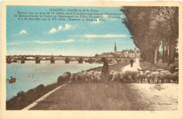 71 - MACON -  LES RIVES DE LA SAONE - TROUPEAU DE MOUTON - Macon