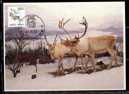 NORWAY NORGE NORVEGIA NORVEGE 1988 1890 FAUNA REINDEER 3.80k MAXI MAXIMUM CARD - Tarjetas – Máximo