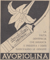 Pasta Dentifricia AVORIOLINA Bertelli - Pubblicità D'epoca - 1937 Old Ad - Publicités