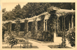 88 - VITTEL - LA PERGOLA DE LA ROSERAIE - Contrexeville