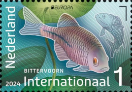 NETHERLANDS 2024 Europa CEPT. Underwater Fauna & Flora (Preorder) - Fine Stamp MNH - Ungebraucht