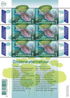 NETHERLANDS 2024 Europa CEPT. Underwater Fauna & Flora (Preorder) - Fine Sheet MNH - Ongebruikt