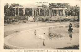 63 - CLERMONT FERRAND -  UN COIN DU JARDIN DES PLANTES - Clermont Ferrand