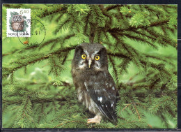 NORWAY NORGE NORVEGIA NORVEGE 1991 FAUNA OWL 6.40k MAXI MAXIMUM CARD CARTE - Maximum Cards & Covers