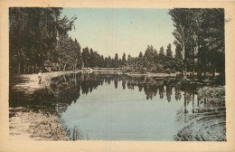 38 - PONT DE CHERUY - LAC DES MAISONS NEUVES - Pont-de-Chéruy