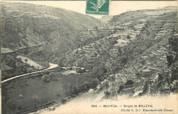  42 - MONT PILAT -  GEORGES DE MALLEVAL - Mont Pilat