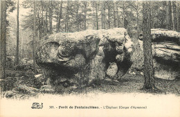 77 - FORET DE FONTAINEBLEAU -  L'ELEPHANT - Fontainebleau