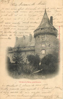 42 - CHATEAU DE BOISY  PRES ROANNE - Roanne