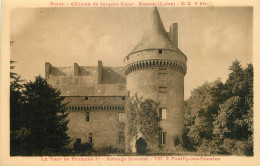 42  - BOISY - CHATEAU - ROANNE - PUBLICITE : POUILLY LES NONAINS - LA TOUR DE FRANCOIS 1er - AUBERGE FAMEUSE - Otros & Sin Clasificación