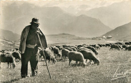 73 - TROUPEAUX DE MOUTONS EN ALPAGE - CACHET PROLOGNAN STATION CLIMATIQUE - Pralognan-la-Vanoise