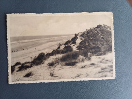 COXYDE-BAINS    DUINEN EN ZEE - Antwerpen