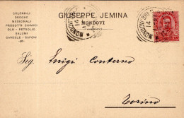 Regno D'Italia (1899) - Ditta Giuseppe Jemina - Cartolina Da Mondovì Per Torino - Marcophilia