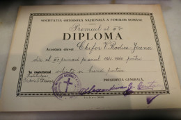 Societatea Ortodoxa Nationala A Femeilor Romane - SONFR - DIPLOMA - Alexandrina Gr. Cantacuzino 1941-1942 Premiu - Diplomas Y Calificaciones Escolares