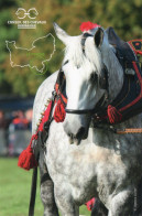 CPM - R - ORNE - PERCHERON - RACE DE CE CHEVAL DE TRAIT EMBLEMATIQUE DE LA NORMANDIE ET DU PERCHE - HABIT D'APPARAT - Sonstige & Ohne Zuordnung