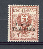 TRENTIN  Yv. SA, N° 20 *  2c  Timbres D'Italie 1901-1917 Surchargés Cote 5 Euro BE R 2 Scans - Trentin