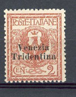 TRENTIN  Yv. SA, N° 20 *  2c  Timbres D'Italie 1901-1917 Surchargés Cote 5 Euro BE R 2 Scans - Trentino