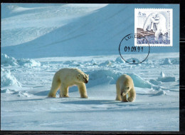 SWEDEN SVERIGE SVEZIA SUEDE 1991 KOLMARDEN ZOOLOGICAL PARK OSTERGOTLAND POLAR BEARS 2.50k MAXI MAXIMUM CARD CARTE - Maximumkaarten (CM)