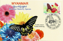 MYANMAR 2024 GOLDEN BIRDWING BUTTERFLY MAXIMUM CARD ONLY 100 ISSUED - Myanmar (Birmanie 1948-...)