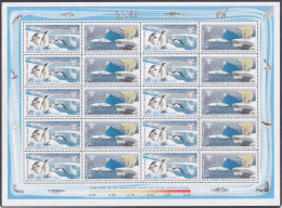 Inde India 2009 MNH Polar Regions, Global Warming, Penguin, Polar Bear, Glaciers, Ice, Se-tenant Sheetlet - Ungebraucht