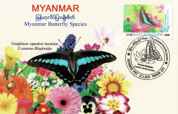 MYANMAR 2024 COMMON BLUEBOTTLE BUTTERFLY MAXIMUM CARD ONLY 100 ISSUED - Myanmar (Burma 1948-...)