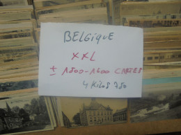 +++BELGIQUE BEAU LOT XXL ! ENVIRON 1500-1600 CARTES (Pas De Côte Belge) MAJORITES ANCIENNES+++ 4 KILOS 750 (Lire Ci-bas) - 500 Cartoline Min.