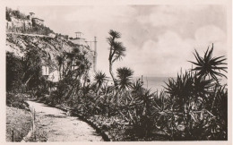 CARTE POSTALE ANCIENNE ORIGINALE PHOTO : MENTON LA FRONTIERE ITALIENNE LES ROCHERS ROUGES  ALPES MARITIMES (06) - Menton