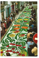 ALFOMBRA FLORES, FIESTA CORPUS CHRISTI / CARPET OF FLOWERS CORPUS CHRISTI.- SITGES - BARCELONA.- ( CATALUNYA ) - Barcelona