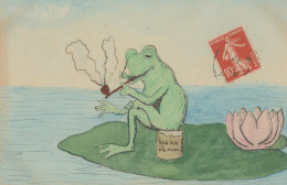 Faite Main Grenouille Humlaine Pipe Nenuphar  Hand Made Human Frog Smoking Pipe Water Lily - Andere & Zonder Classificatie
