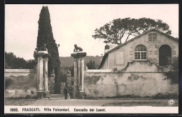 Cartolina Frascati, Villa Falconieri, Cancello Dei Leoni  - Autres & Non Classés