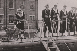 PHOTO PRESSE LE CHIEN DU CAPITAINE DU SPORSMAN PHOTO A D P JUILLET 1952 FORMAT 18 X 13 CMS - Barcos