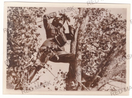 RO 06 - 19031 Romanian Soldier With Binoculars, ( 18/13 Cm ) - Old Press Photo - 1943 - Guerra, Militari