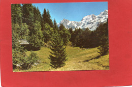 74----LES HOUCHES--Foyer De Charité " La Flatière "-- Le Vallon--voir 2 Scans - Les Houches