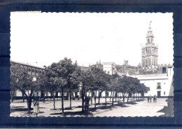 Espagne. Sevilla. Palais Royaux. Cour Des Drapeaux. Cpsm Petit Format - Sevilla (Siviglia)