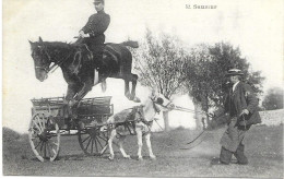 HIPPISME  - 49 - SAUMUR N° 52 - CARTE ECRITE - - Horse Show