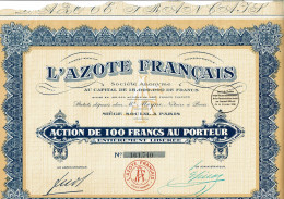 75-AZOTE FRANCAIS. L' ...  1926  Capital 18 MF   Lot De 13 - Sonstige & Ohne Zuordnung