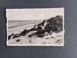 OOSTDUINKERKE-BAINS DUINEN EN ZEE - Oostduinkerke