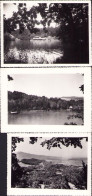 Lot 3 Poze Sovata Lacul Ursu, Anii 1930, Studio Foto ONT P2/780 - Lieux