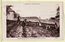 27732 /⭐ ◉ Savoie ABBAYE De TAMIE Moines Au Travail Récolte Pommes De Terre 23.07.1932 à BIGNEN Dreux - J.B.E 7  - Other & Unclassified