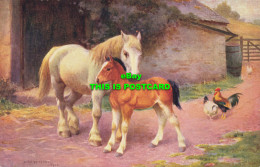 R605800 Ponies Or Horses. Painting. Salmon - Mondo