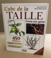 Abc De La Taille (l') Geste Par Geste : 450 Dessins - Natuur