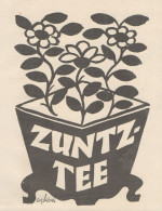 ZUNTZ Tee - Illustrazione - Pubblicità D'epoca - 1925 Old Advertising - Pubblicitari