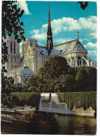 NOTRE DAME ET LA SEINE / NOTRE-DAME AND THE SEINE.- PARIS.- ( FRANCIA ) - Notre Dame Von Paris